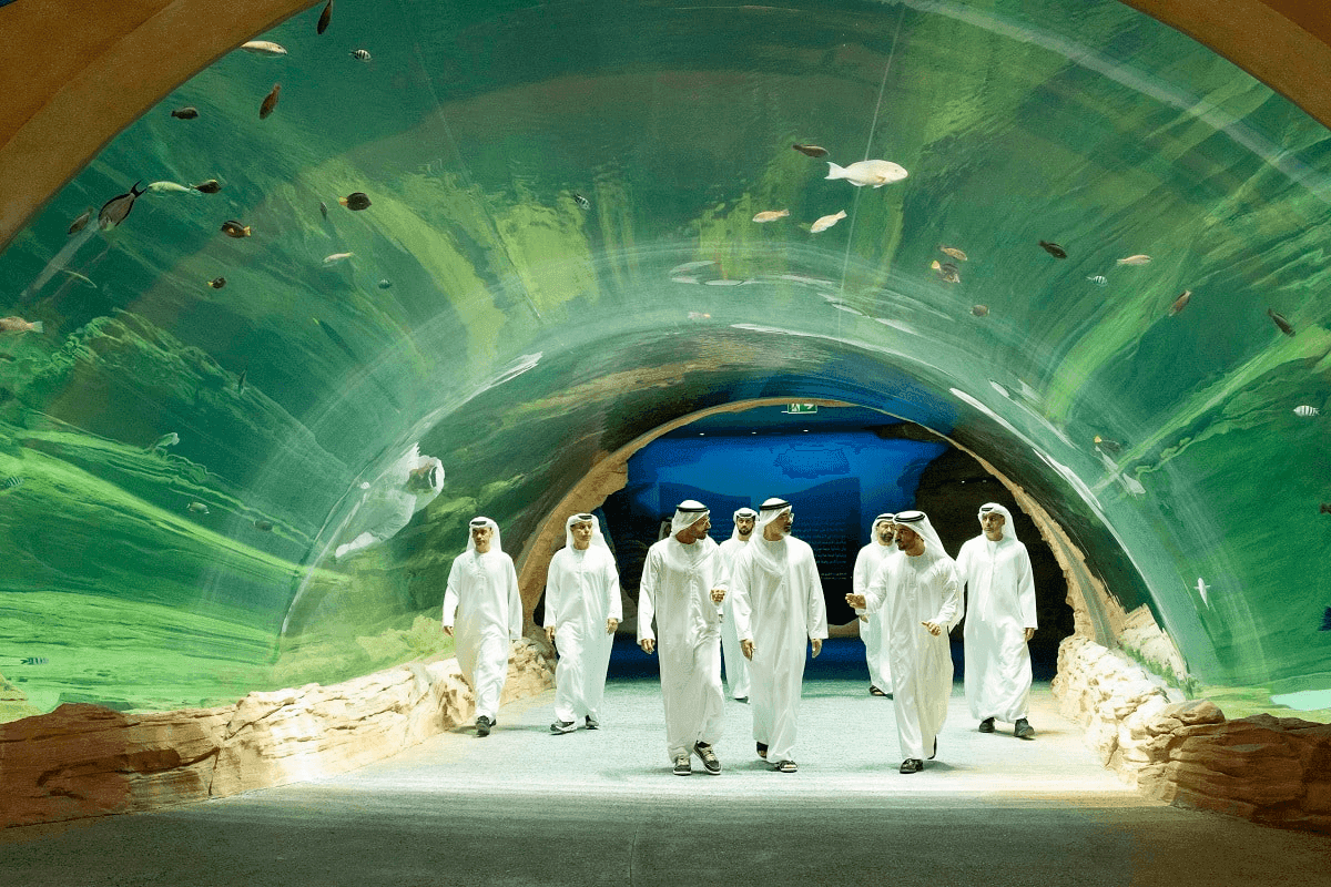 SeaWorld Abu Dhabi: A Marine Wonderland Unveiled - Your Ultimate Guide!