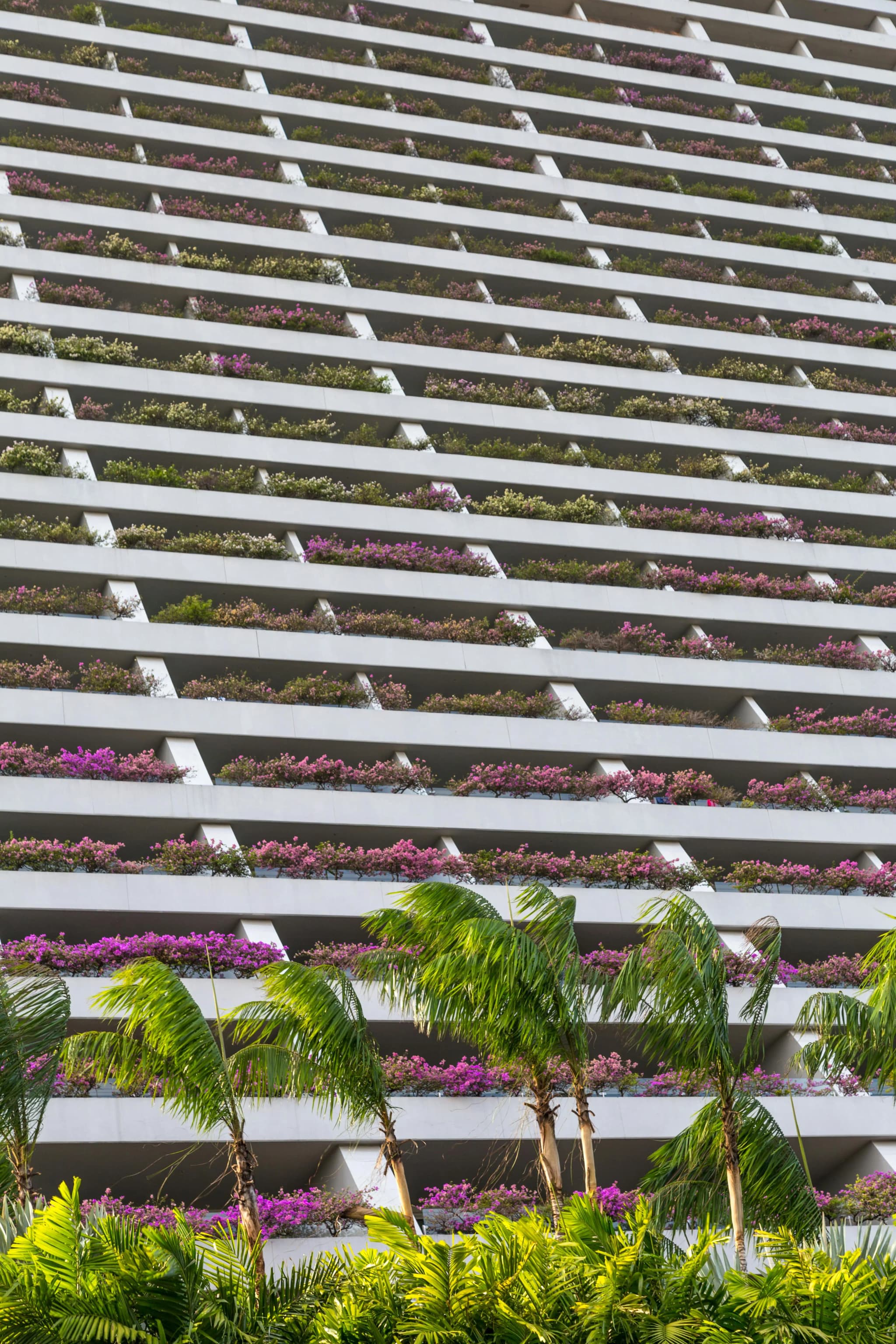 Sustainable Building Trends to Watch in 2025