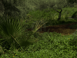 Image 0